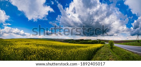 Road through spring rapeseed yellow blooming fields panoramic view, blue sky with clouds in sunlight. Natural seasonal, good weather, climate, eco, farming, countryside beauty concept.