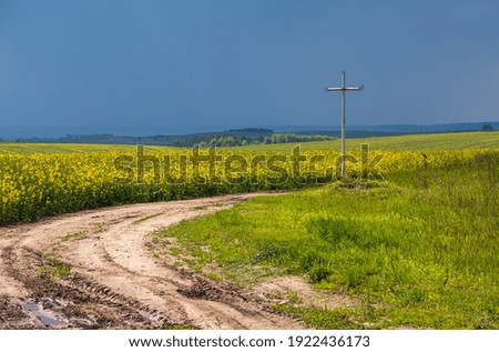 Cross near dirty road through spring rapeseed yellow blooming fields, cloudy sky. Natural seasonal, good weather, climate, eco, farming, countryside beauty concept.