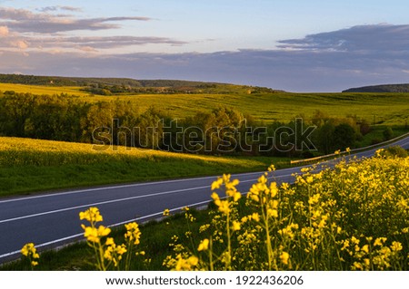 Road through spring evening rapeseed yellow blooming fields, sky with clouds in sunset sunlight. Natural seasonal, good weather, climate, eco, farming, countryside beauty concept.
