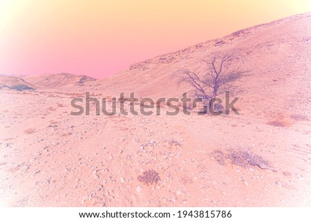 Breathtaking landscape of the rock formations in the Israel desert in faded color effect. Lifeless and desolate scene as a concept of loneliness, hopelessness and depression.