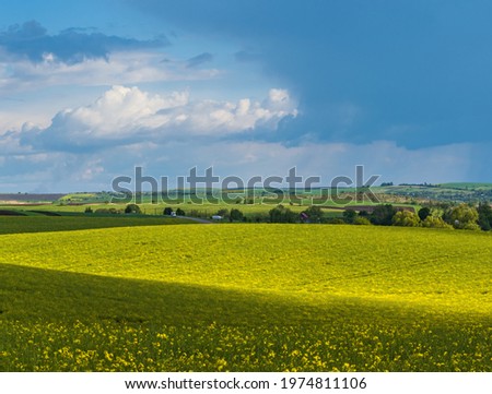 Spring evening view with rapeseed yellow blooming fields in sunlight with cloud shadows. Natural seasonal, good weather, climate, eco, farming, countryside beauty concept. soft focus