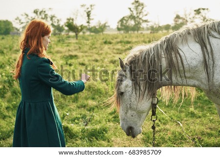 A woman is feeding a horse in the field                               