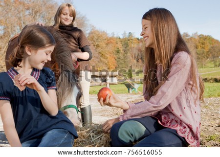 Similar – Image, Stock Photo Three ponies with straw in the head