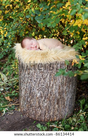 Newborn baby on a log outside