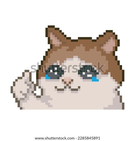 Cat with thumb up, pixel art meme