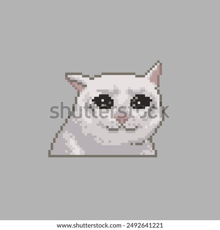 Crying cat, pixel art animal meme