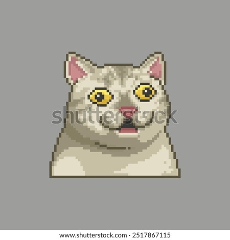 Cross-eyed cat with a surprised face, pixel art meme