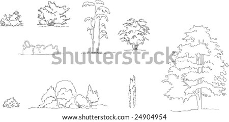 vector tree graphics