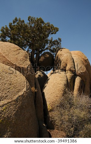 Round Rock, Joshua Tree National Park, California, USA