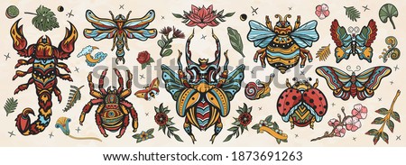 Insects old school tattoo vector collection. Stag beetle, bee, bumblebee, butterfly, snail, scorpion, ladybug, spider, dragonfly. Traditional tattooing style 