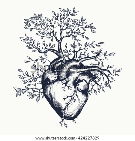 Anatomical human heart from which the tree grows heart tattoo art, vector illustration