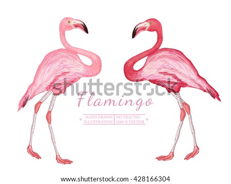 Two flamingo isolated on white background beautiful pink flamingo vector