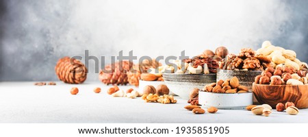Assortment of nuts in bowls. Cashews, hazelnuts, walnuts, pistachios, pecans, pine nuts, peanuts, macadamia, almonds, brazil nuts. Food mix on gray background, copy space banner 
