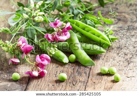 Fresh green peas with mouse pea flowers on the old wooden table, selective focus
