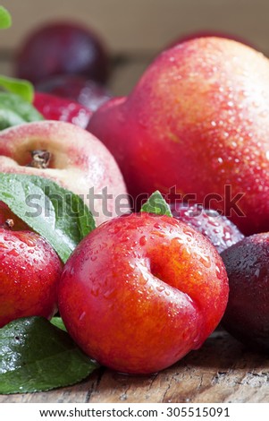 Colorful plums and peaches, still life, selective focus