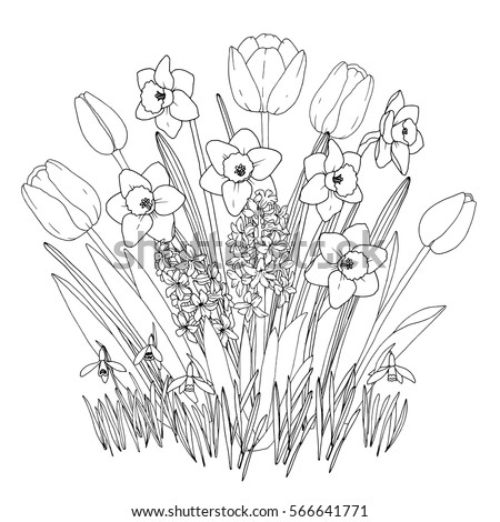 Spring Garden Flowers Coloring Page Hand Drawn Set With Blooming Daffodils Tulips