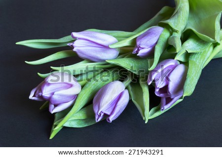 bouquet of purple tulips on a black background. 5 pieces. bouquet lies on black paper. angle.