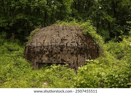 Similar – Image, Stock Photo Bunker remnants with tree remnants