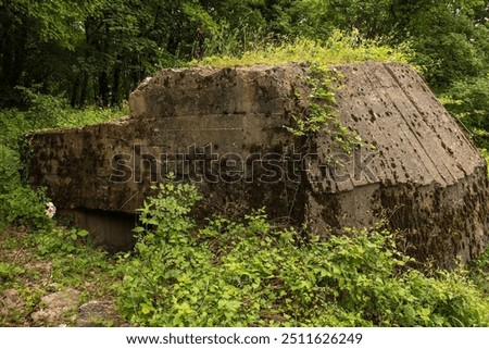 Similar – Image, Stock Photo Bunker remnants with tree remnants