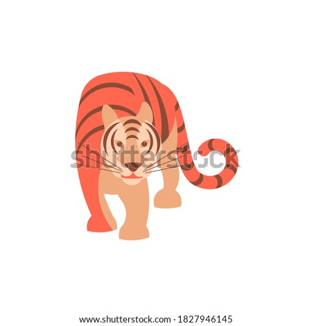 Wild tiger is coming face view isolated on a white background. Tigers population. Protect animals. Flat Art Rastered Copy
