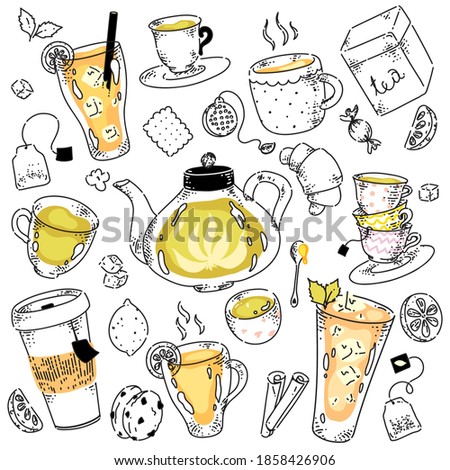 Tea assortment with spice and sweets. Hand drawing drink in teapot, glass, takeaway cup, fresh leaf in cardboard package, fruit, sugar, cookie doodle illustration isolated on white background