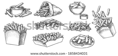 Potato french fries street fastfood menu hand drawn sketch. Crispy chip food in paper box or craft paper cone, on plate, in dip bowl, dipped in sauce vector illustration isolated on white background