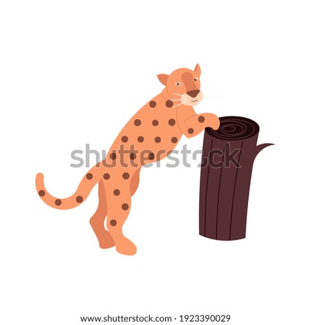 Wild leopard isolated on a white background. Tigers population. Protect animals. Flat Art Rastered Copy