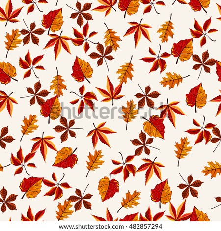 Autumn vector seamless pattern. Hand draw autumn leaves background.