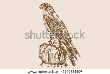 falcon sketch vector gold color 