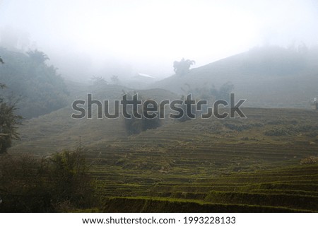 A crepy shot of a forested mountain covered in fog