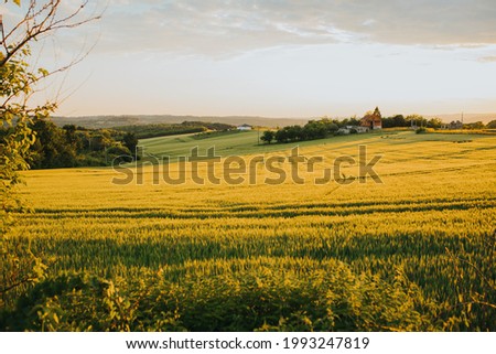 Le beau champ avec des maisons rurales en arrière-plan