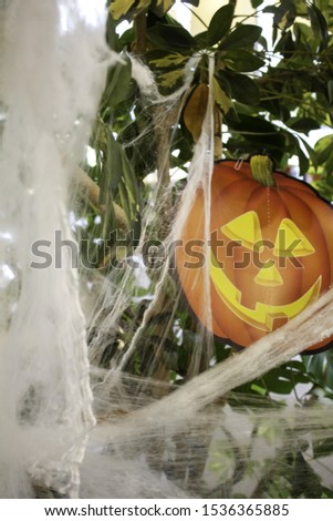 Pumpkin and cobwebs on Halloween, fear and celebration
