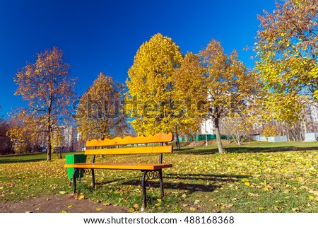 Bench in autumn city park with gold leaves around