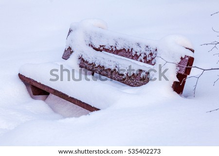 Rolling in snow bench in city Park