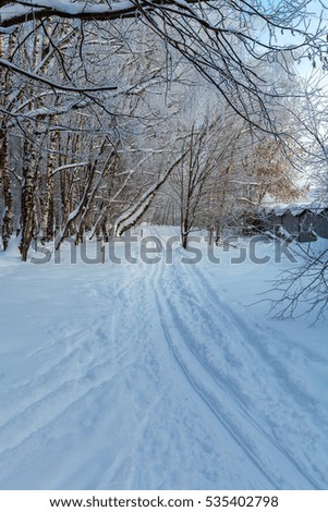 The cross-country ski trails in the winter forest and garages
