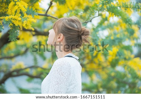 A woman watching mimosa blossoms