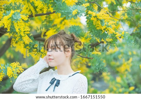 A woman watching mimosa blossoms