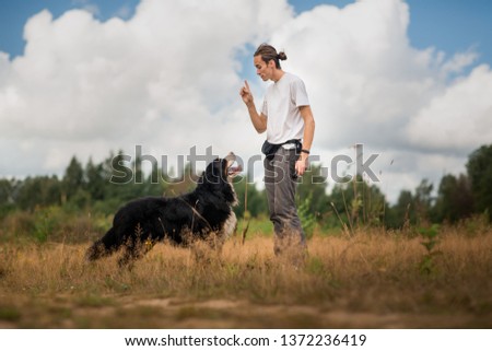 Similar – Image, Stock Photo Bernese Mountain Dog jumping. Top view