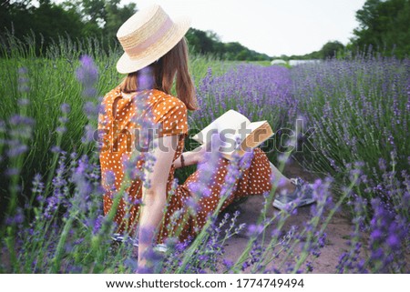 Provence - girl reading a book in a lavender field 