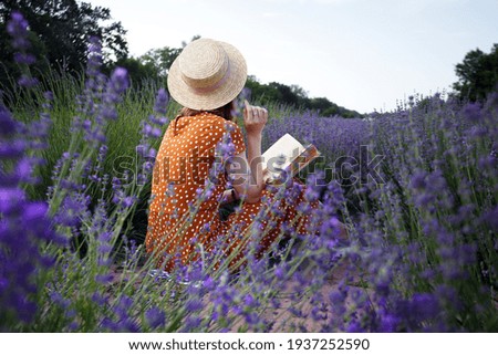 Provence - girl reading a book in a lavender field and basket with lavender in the foreground
