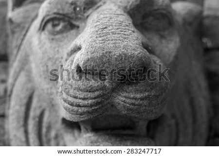 Abstract stone lion's head statue. Outdoor lions head stone art. Lions head black and white sculpture. Lion face.