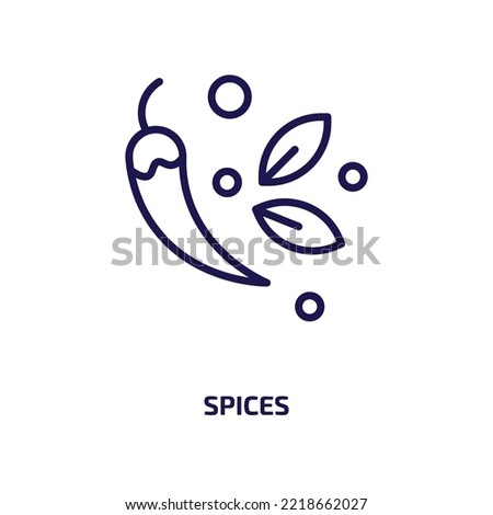 spices icon from food collection. Thin linear spices, cooking, kitchen outline icon isolated on white background. Line vector spices sign, symbol for web and mobile