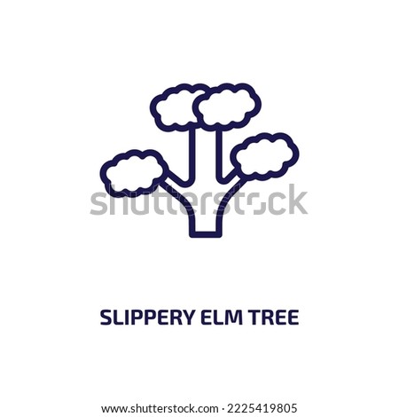slippery elm tree icon from nature collection. Thin linear slippery elm tree, medical, bio outline icon isolated on white background. Line vector slippery elm tree sign, symbol for web and mobile