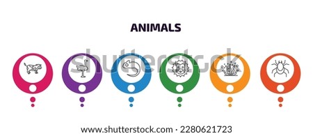 animals infographic template with icons and 6 step or option. animals icons such as cow, ostrich, chameleon, lion head, seaweed, mite vector. can be used for banner, info graph, web, presentations.