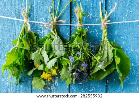 Herbs in bunches (nettle, celandine, Veronica Chamaedrys, plantain) are dried on a rope on a blue wooden background