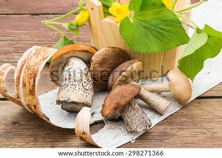 A heap of fresh wild mushrooms on the birch bark and flowers tladianta in a wooden bucket on an old table. Selective focus