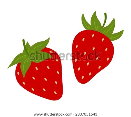 Strawberry. Two red sweet berries. Hand-drawn colored flat vector illustration isolated on white.