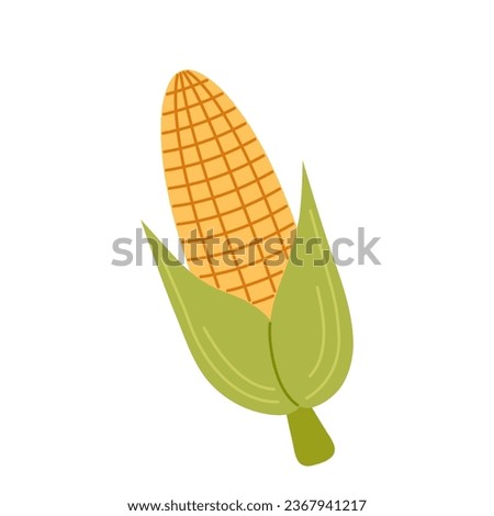 Corn cob. Hand drawn colored flat vector illustration isolated on white.