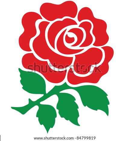 Red Rose National Emblem Of England Isolated On White Background Stock ...