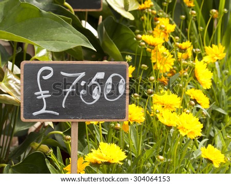 Newbury, Northbrook Street, Berkshire, England - August 07, 2015: price sign for cut flowers on florist market stall